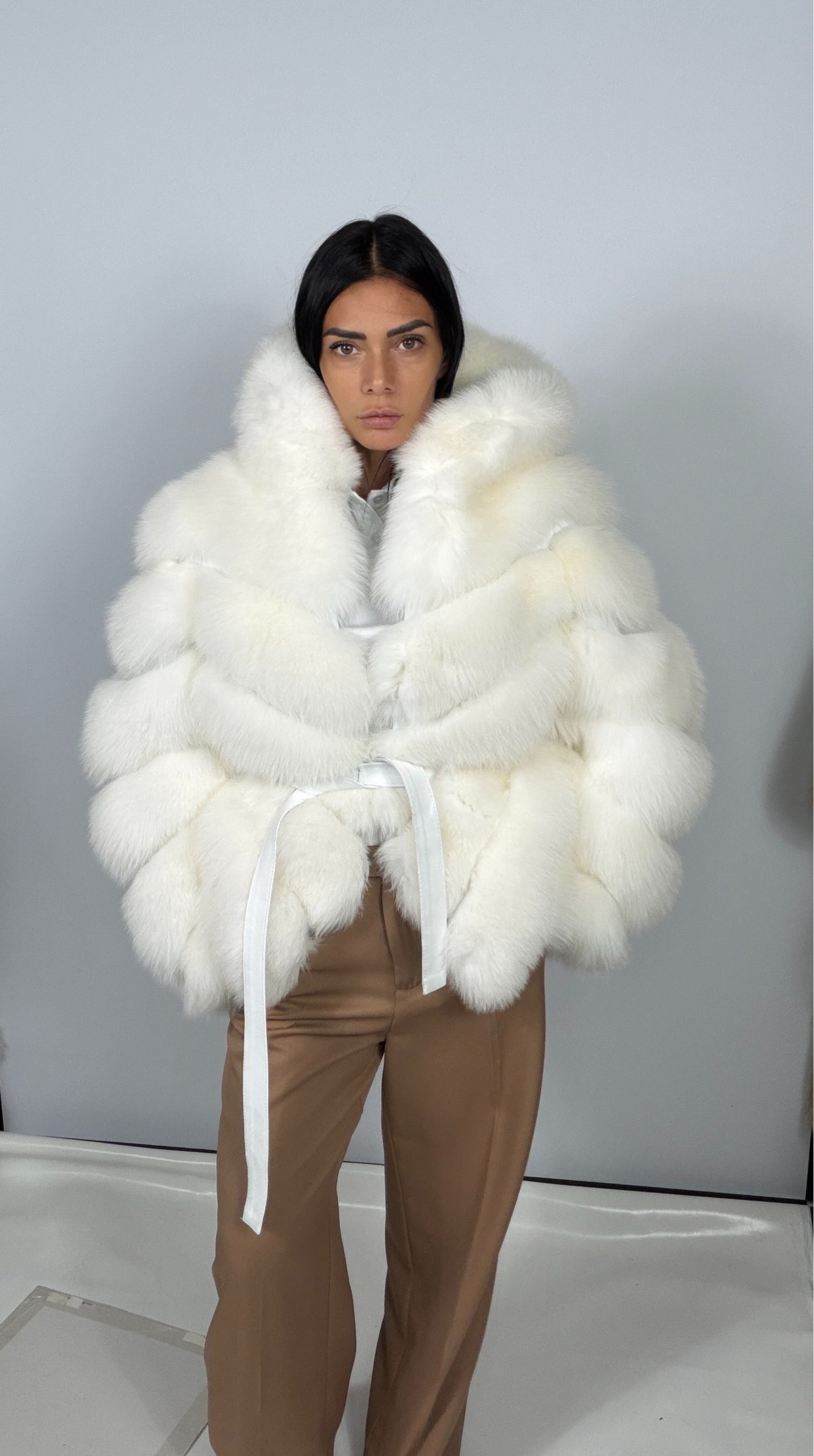 Volpe bianca polare